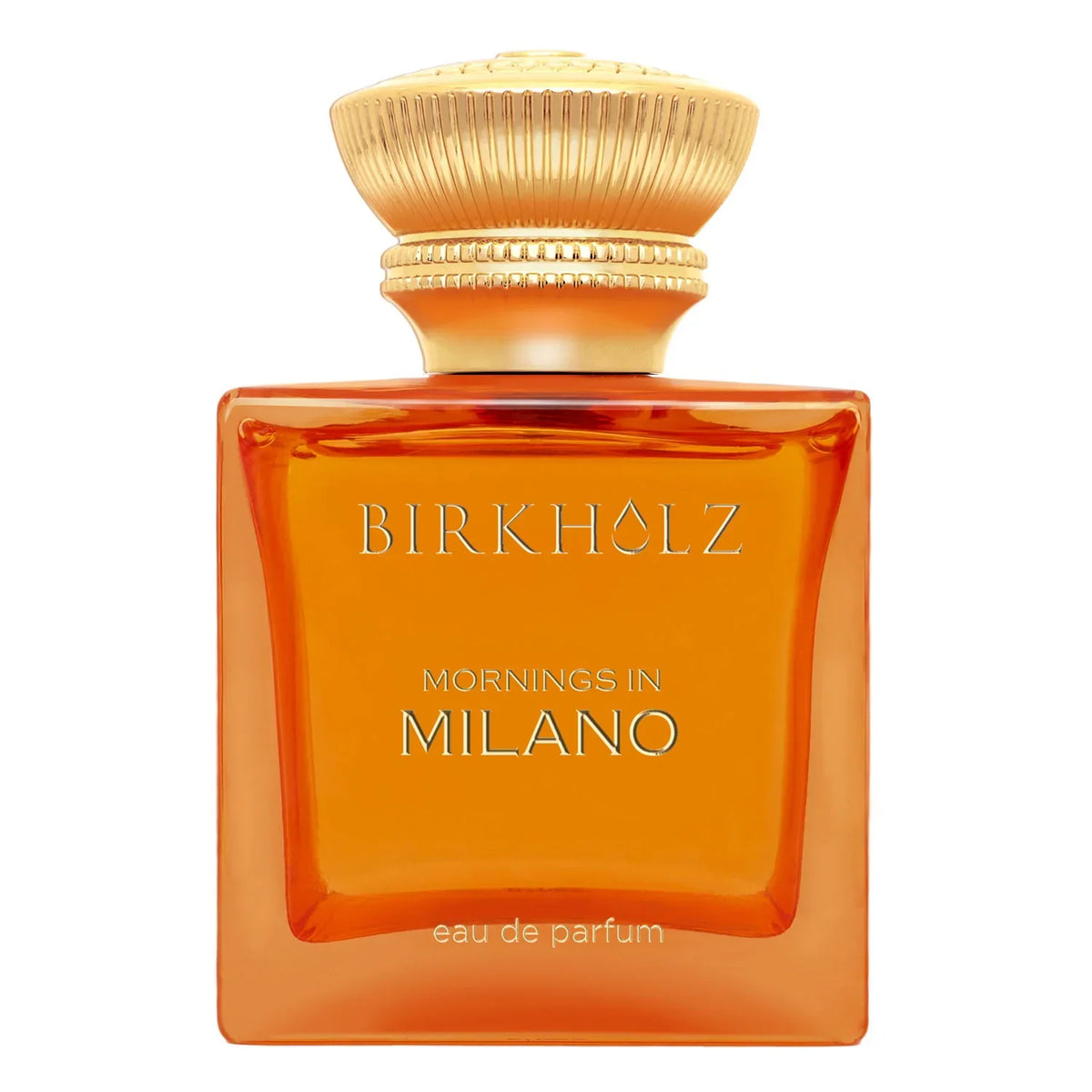 Birkholz - Mornings in Milano
